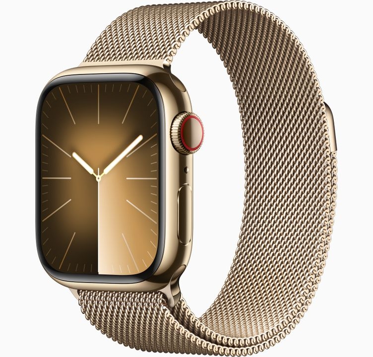 Apple Watch Series 9 41/45mm ເຫຼັກ